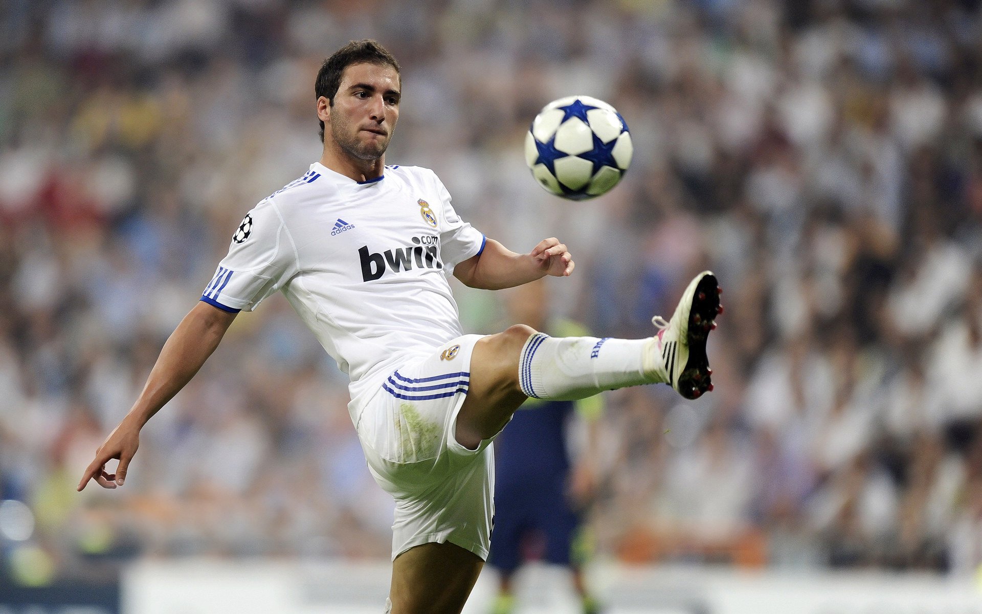 本季新纪录:刷新历史的惊艳表现,刷新了新纪录